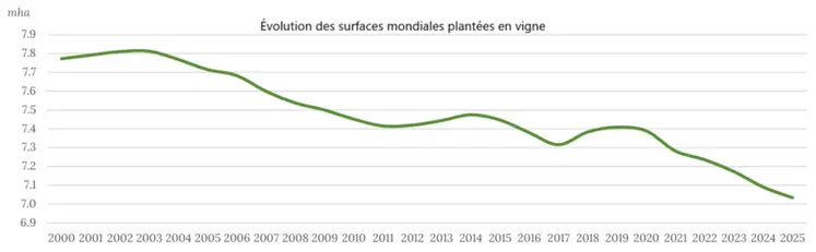 <em class="placeholder">évolution des surfaces mondiales plantées en vigne</em>
