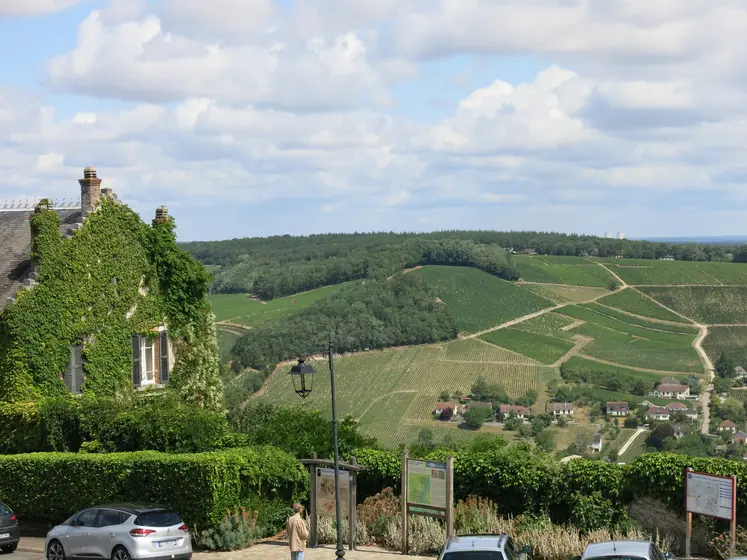 Paysage viticole autour de Sancerre