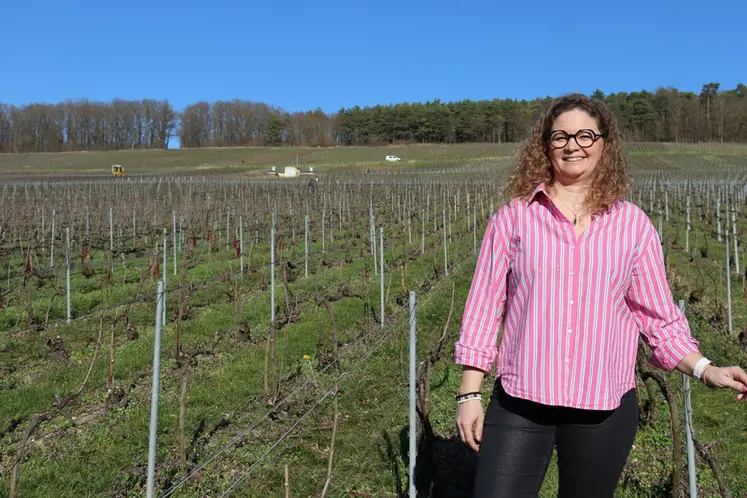 <em class="placeholder">Audrey Promsy, de la maison de Champagne Minard et filles dans une parcelle louée à son père par bail à métayage</em>