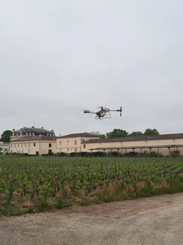<em class="placeholder">Vol de drone au-dessus d'un vignoble.</em>