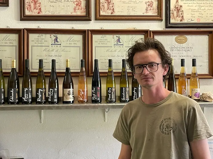 <em class="placeholder">Alexis Schoepfer, vigneron à Wettolsheim</em>