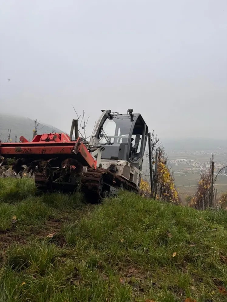 <em class="placeholder">Machine à vendanger CH 500 de CH engineering.</em>