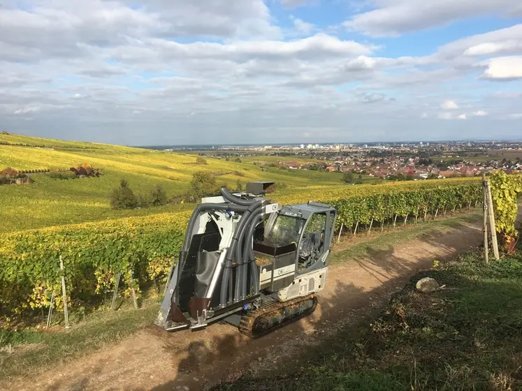 <em class="placeholder">Machine à vendanger CH 500 de CH engineering.</em>