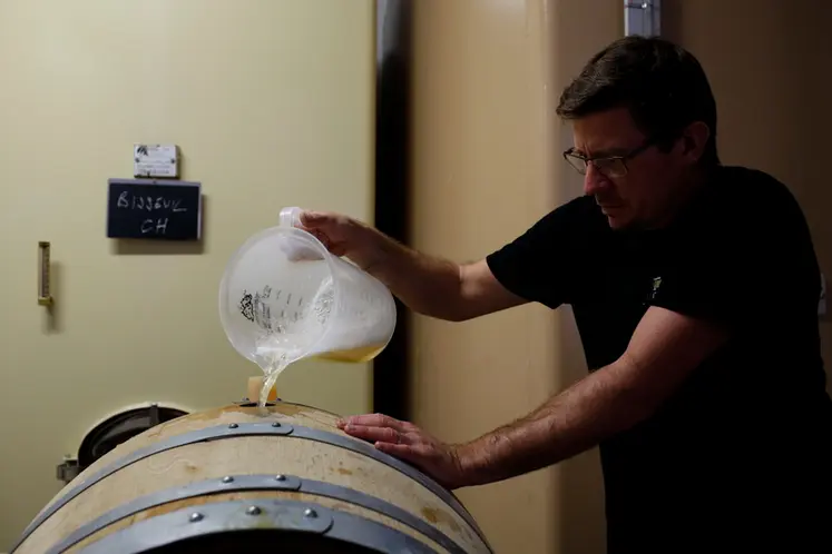 <em class="placeholder">Salarie d une exploitation viticole de Champagne mettant a niveau le remplissage de futs de chene avec le jus de la cuvee durant les vendanges 2020 en Champagne.</em>