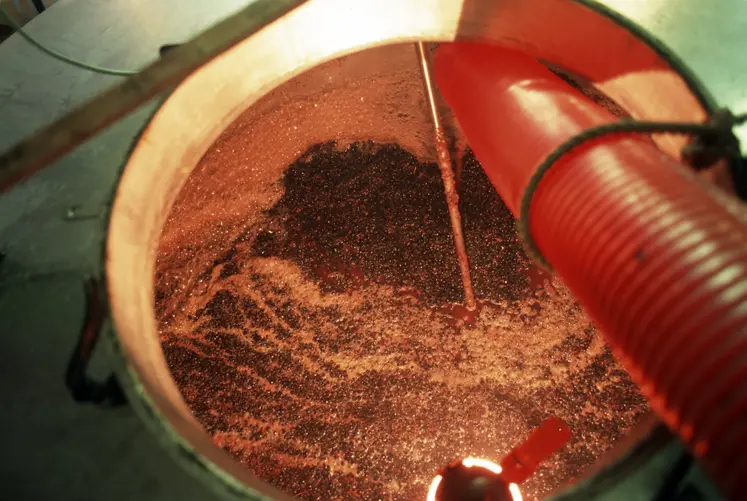 Les pratiques de vinification doivent se réinventer face au climat et aux attentes des consommateurs qui évoluent.