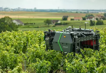 Cette saison, le robot Traxx a parcouru différents vignobles pour des opérations de travail du sol. 