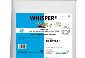 Whisper De Sangosse