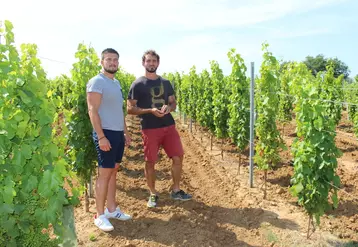 Thomas Gomes (à droite) et Guillaume Clemenceau ont commencé par travailler la syrah sur une parcelle de Maury, avant de décider de planter ce cépage sur leurs domaines respectifs situés dans le vignoble de Bordeaux. © J. Gravé