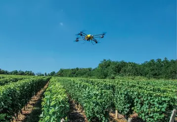 Les drones en viticultures sont principalement utilisés pour réaliser des cartographies montrant l'indice de végétation NDVI des parcelles. © BIVB