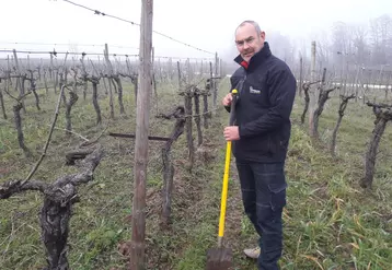 Pour Hubert Gerber, viticulteur en Alsace, les avantages de la viticulture de conservation des sols sont nombreux. © X. Delbecque