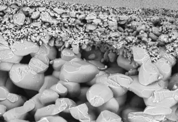 La membrane en carbure de silicium Crystar FT a une porosité de  250 nm et une tortuosité autour de 1,2.  © Saint-Gobain