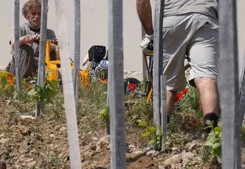 L'entreprise Alatache rend possible le travail du sol sur des parcelles inaccessibles aux machines grâce au treuil. © X. Delbecque