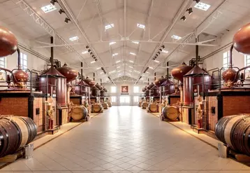 La distillerie du Peu, l'une des plus grande de la région, fonctionnera lors de la prochaine campagne aux gaz verts, un mélange de 50 % d'hydrogène et 50 % de biométhane.  