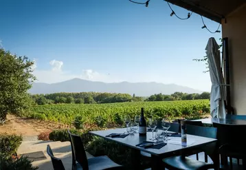La terrasse du restaurant aménagé par le domaine Sol-Payré bénéficie d'une vue imprenable sur les vignes et les Albères. 