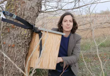 Jeanne Fabre a fait appel à l'association naturaliste Aude Nature pour le diagnostic et à la LPO pour la pose des nichoirs.