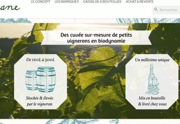 La place de marché Liane lancée par le domaine Achillée applique la technologie des NFT à la vente de cuvées de vins nature et en biodynamie.