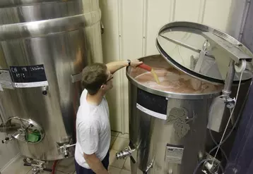 La réalisation d'un pied de cuve bactérien permet de sécuriser la fermentation malolactique.
