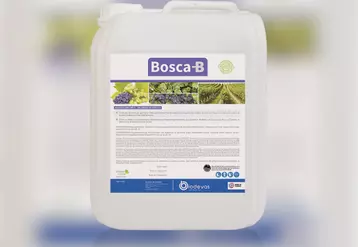 Le biostimulant pour vigne Bosca-B permet de lutter contre tous types de stress oxydatifs.