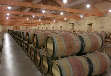 chai à barriques du château Mauvesin-Barton à Moulis-en-Médoc. barrique en bois, fût de chêne, fûts, tonneaux, tonneau, élevage du vin bordelais. vieillissement des ...
