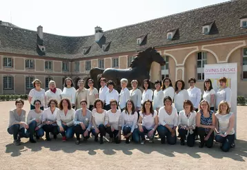 L'Association DiVINes d'Alsace