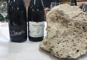 Les vins produits sur des terroirs volcaniques ou volcano-sédimentaires (comme sur cette pierre ponce) le mentionnent sur l'étiquette et pourront bientôt prétendre au label Volcanic Origin.