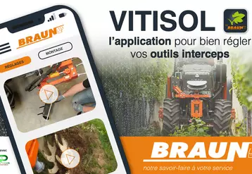 Trois conseillers machinisme dispensent leurs préconisations de réglage des outils de travail du sol sur la nouvelle application Vitisol by Braun.