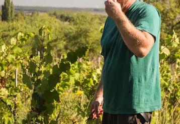 Jan Tailler, vigneron à L’arbre de Viké, à Domgermain, en Meurthe-et-Moselle s'est lancé sur le créneau des vins primeurs en 2023.