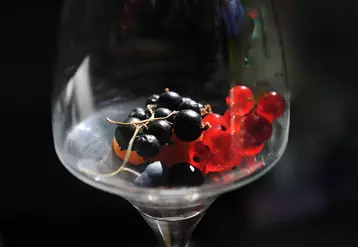 Arômes des vins. Arôme de fruits rouges. Cassis et groseille. Note végétale. Senteur. Parfum. Transparence du verre. Reflet. Eclat. Alimentation. Aliments. Goût sucré