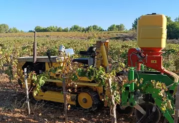 Mathieu Ledogar, vigneron audois, a opté pour des chenillards Saint-Chamond de 45 ch afin de diminuer les tassements de ses sols. Il constate en outre une moindre ...