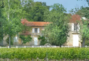 Viticulture en Gironde. Vignoble et Château La Tour de By dans le Bordelais. Paysage de vignes et domaine viticole. Production de vin de Bordeaux dans le Médoc. Prestige ...