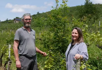 Cédric Aubert et Véronique Gourdon laissent la nature s'installer dans les vignes tout en maîtrisant le nombre et la taille des végétaux.