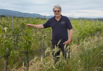 Benjamin Meï met en œuvre les principes de la permaculture et de l'hydrologie régénératrice pour des vignes plus résilientes. 