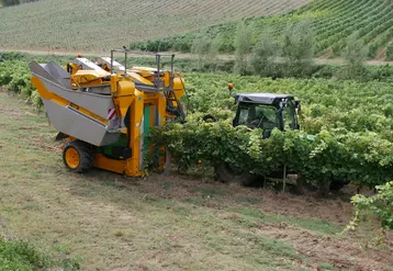 Les machines tractées séduisent de plus en plus les viticulteurs pour leur bonne rentabilité.