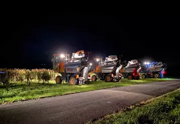 Avec ses 38 machines à vendanger, l'entreprise girondine Banton-Lauret peut répondre à différents besoins.