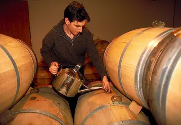 Vigne / ouillage de fûts / Bordelais Médoc Pauillac / Lynch Bâges