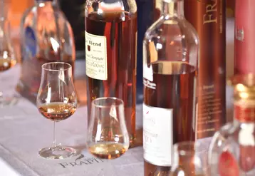 Verres et bouteilles de cognac Frapin.  eau-de-vie. vins et spiritueux. gamme de produits issus du vignoble de la Grande Champagne, premier cru. patrimoine d'une famille de ...