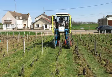 Travail du sol intercep en vigne étroite, à Vosne-Romanée, Côte-d'Or, Bourgogne, enjambeur Bobard LCC60, intercep Petalmatic de Boisselet, Domaine Arnoux-Lachaux, ...