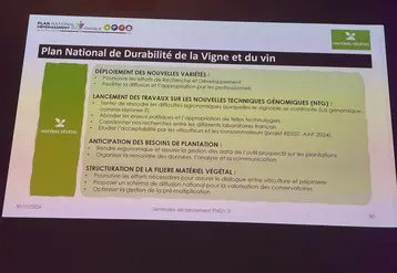 <em class="placeholder">Slide sur le matériel végétal du PNDV.</em>