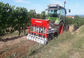 <em class="placeholder">Le semoir à engrais verts bricolé par le vigneron Georges Paire.</em>