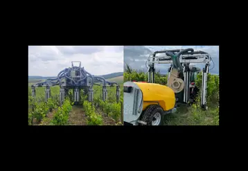 <em class="placeholder">Pulvérisateur viticole interligne et cellule de pulvérisation Bliss Ecospray dans les vignes</em>