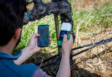 <em class="placeholder">Opérateur géolocalisant un cep de vigne à l&#039;aide de son application sur smartphone connecté à un boîtier de réception RTK PinPoint RTK de Vineview</em>