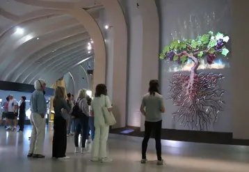 <em class="placeholder">Les visiteurs de la Cité du Vin découvrent la vidéo projetée sur le cep de vigne géant </em>