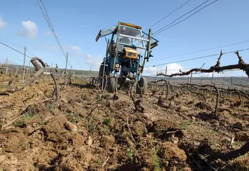 <em class="placeholder">Viticulture. Travail du sol dans le vignoble champenois. labour d&#039;une parcelle de vigne dans la Marne. outil monté sur un tracteur enjambeur. intercep. équipement.</em>