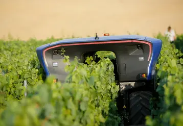 <em class="placeholder">Le premier robot viticole Bakus cree par la societe Vitibot installe a Reims dans la Marne pendant une presentation dans le vignoble Champenois. 5 exemplaires ont ete achete ...</em>