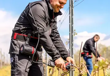 <em class="placeholder">Attacheur filaire Infaco AT1000 à la vigne</em>