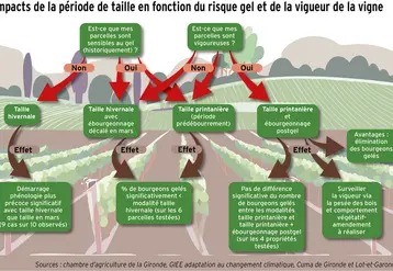 <em class="placeholder">GRAPHIQUE : Les critères de choix pour déterminer sa période de taille - Impacts de la période de taille en fonction du risque gel et de la vigueur de la vigne</em>