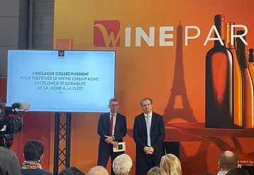 <em class="placeholder">David Chatillon et Maxime Toubart lors de la conférence de presse du Comité Champagne à Wine Paris.</em>