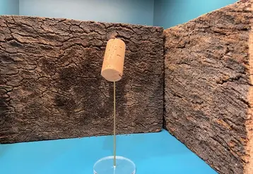 <em class="placeholder">Bouchon en liège naturel d&#039;Amorim.</em>