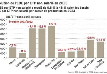 <em class="placeholder">Graphique = Évolution de l&#039;EBE par ETP non salarié en 2023
L&#039;EBE par ETP non salarié a reculé de 0,8 % à 48 % selon les bassin
EBE par ETP non salarié par bassin de ...</em>