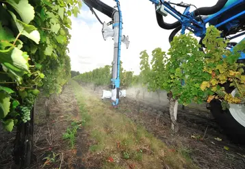 <em class="placeholder">Viticulture. Traitement dans les vignes. Pulvérisateur Berthoud. rampe AB-Most protection du vignoble. Utilisation de produits phytosanitaires. application de pesticides. ...</em>